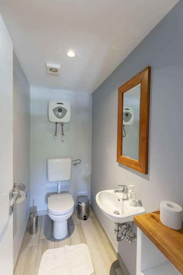 Villa Viscum In Central Istria For 8 Persons With Large Garden - Pet Friendly بازين المظهر الخارجي الصورة